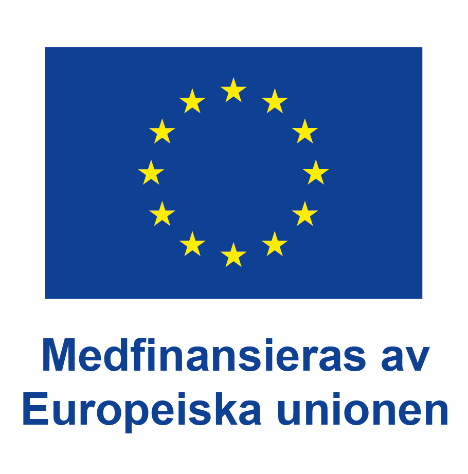 Medfinansieras av Europeiska unionen 